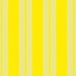Wide-yellow-Stripes-copy.jpg